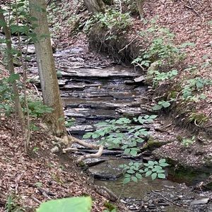 Meet your Posher, Kristin